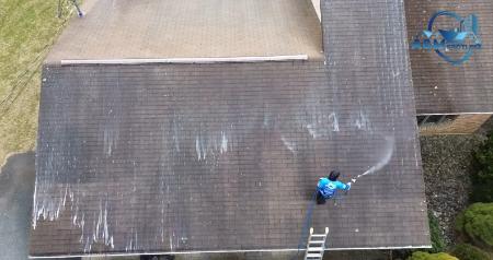 Consider soft washing your roof