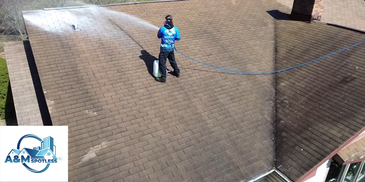Roof cleaning