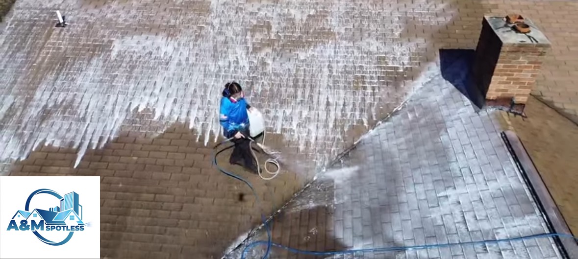 Roof cleaning