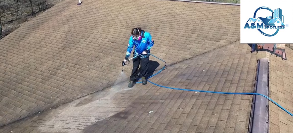 Roof cleaning