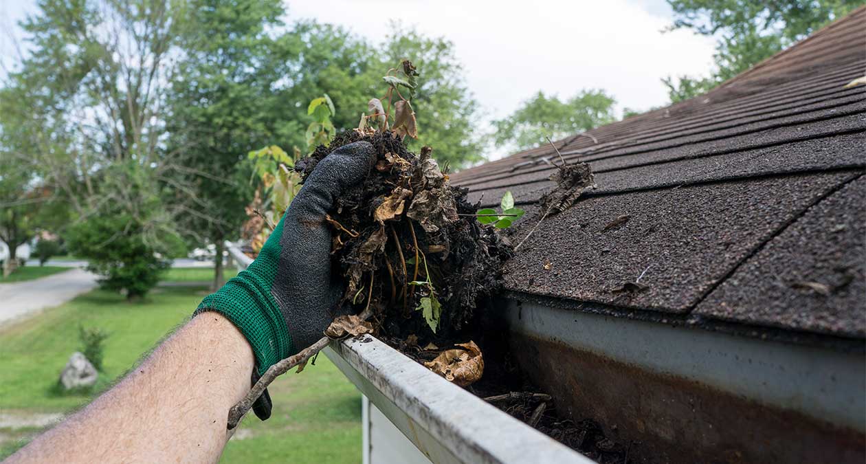 gutter cleaning