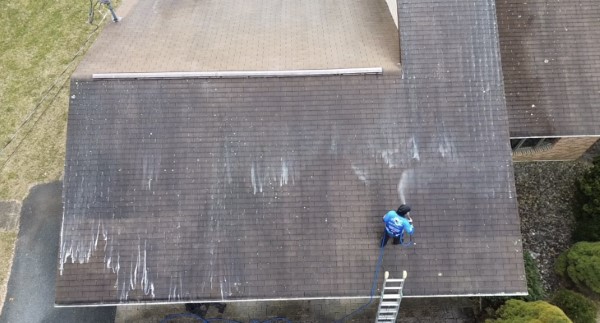 Roof cleaning